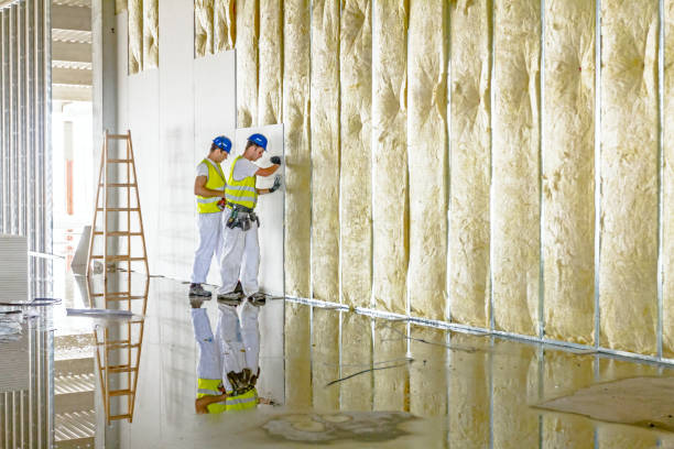 Best Insulation Installation Services in Wewa, OK